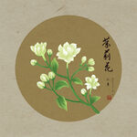 手绘茉莉花