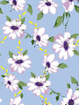 花朵
