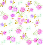 玫瑰花
