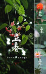 立春