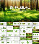 湿地环境保护生态森林业PPT