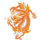 龙