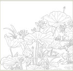 荷花