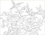 玫瑰花