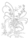 兰花