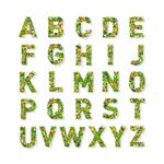 绿色植物英文字母