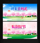 紫荆花