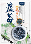 蓝莓 