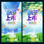 新茶上市