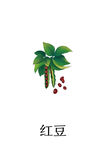 中药红豆插画PSD分层