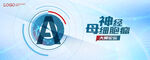 KV 神经元细胞