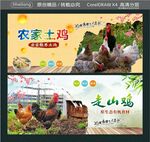散奍鸡