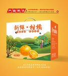 橘子包装 橘子礼盒