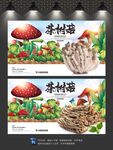 茶树菇