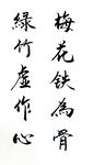 梅花铁为骨