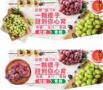 提子吊牌