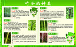 竹子文化展板