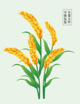 稻穗