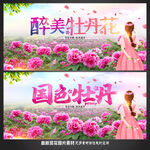 牡丹花