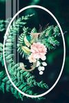 热带植物叶子