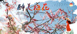 梅花  