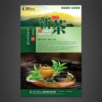 新茶上市