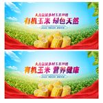 玉米