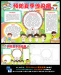 预防夏季传染病健康卫生小报