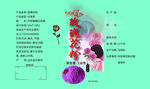 玫瑰花粉