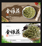 金银花