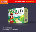 柚子礼盒 青柚包装