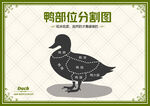 鸭肉分割图