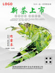新茶上市