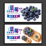 蓝莓