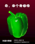 蔬菜-青椒