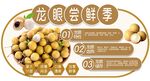 龙眼尝鲜季