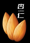 杏仁插画