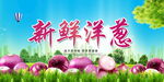 新鲜洋葱