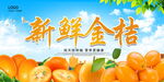 新鲜金桔