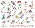 春季鸟类植物