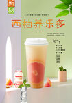 西柚养乐多 