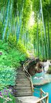 梦幻唯美竹林玄关