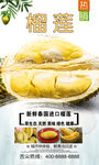 榴莲  