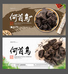 何首乌