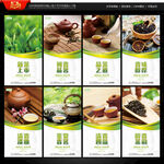 茶文化 新茶上市