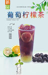 葡萄柠檬茶  