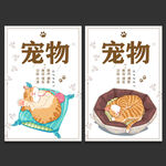 宠物