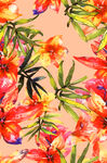 叶子花