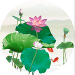荷花 圆 分层 莲蓬 鱼