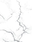 灰色纹路白色大理石地砖背景